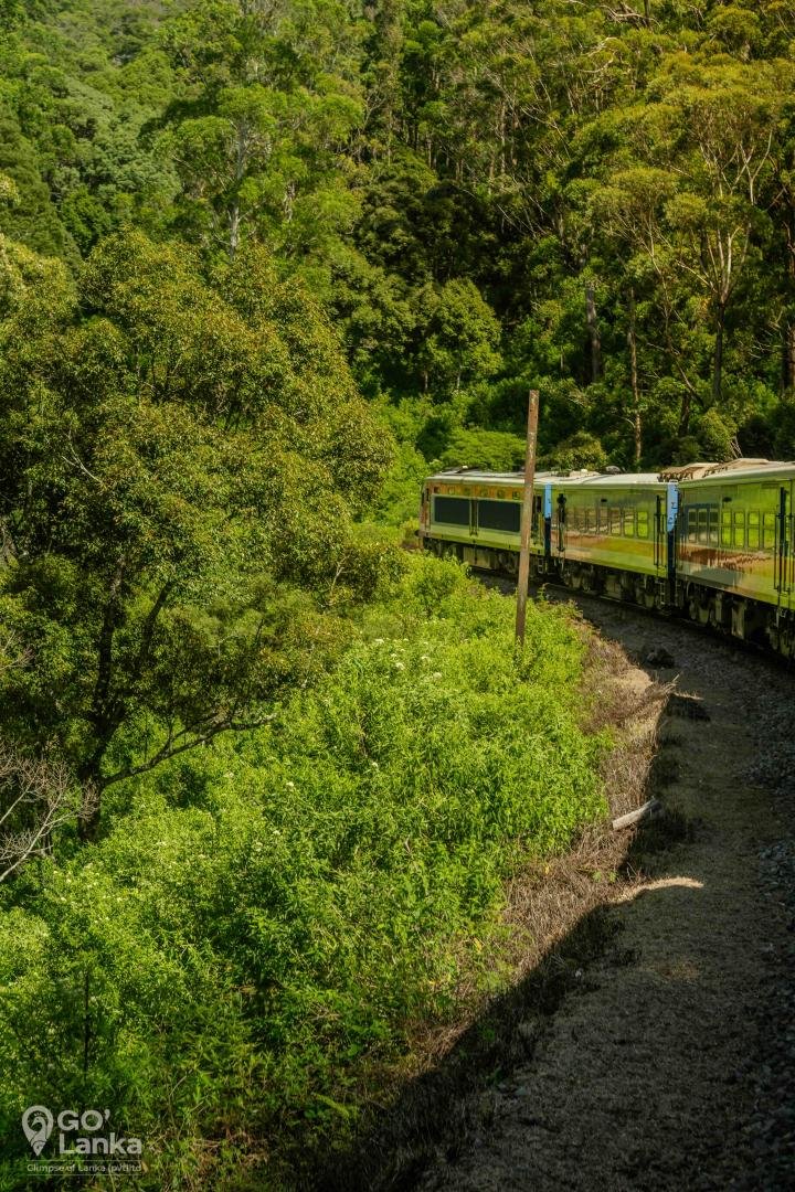 Train to Ella