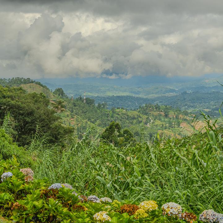 DAY 11 – Kandy to Nuwara Eliya