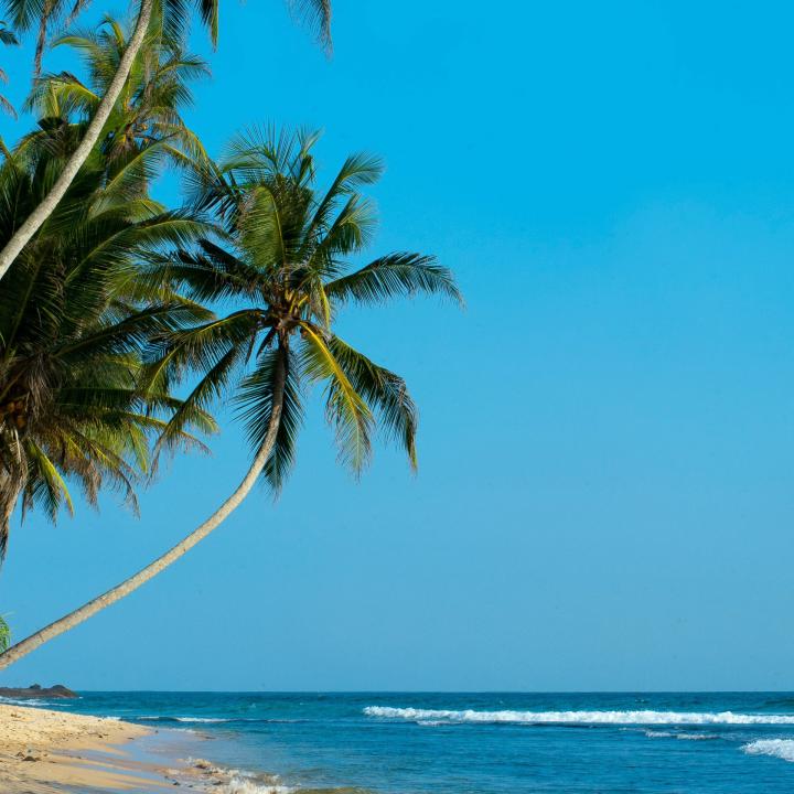 Day 5 – Mannar Beach