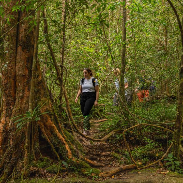 Day 13 – Sinharaja Rain Forest Trekking